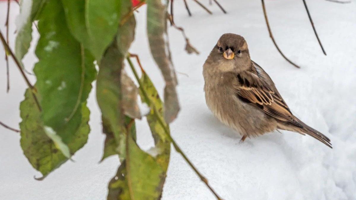 Фото: Олег Золото / MR7