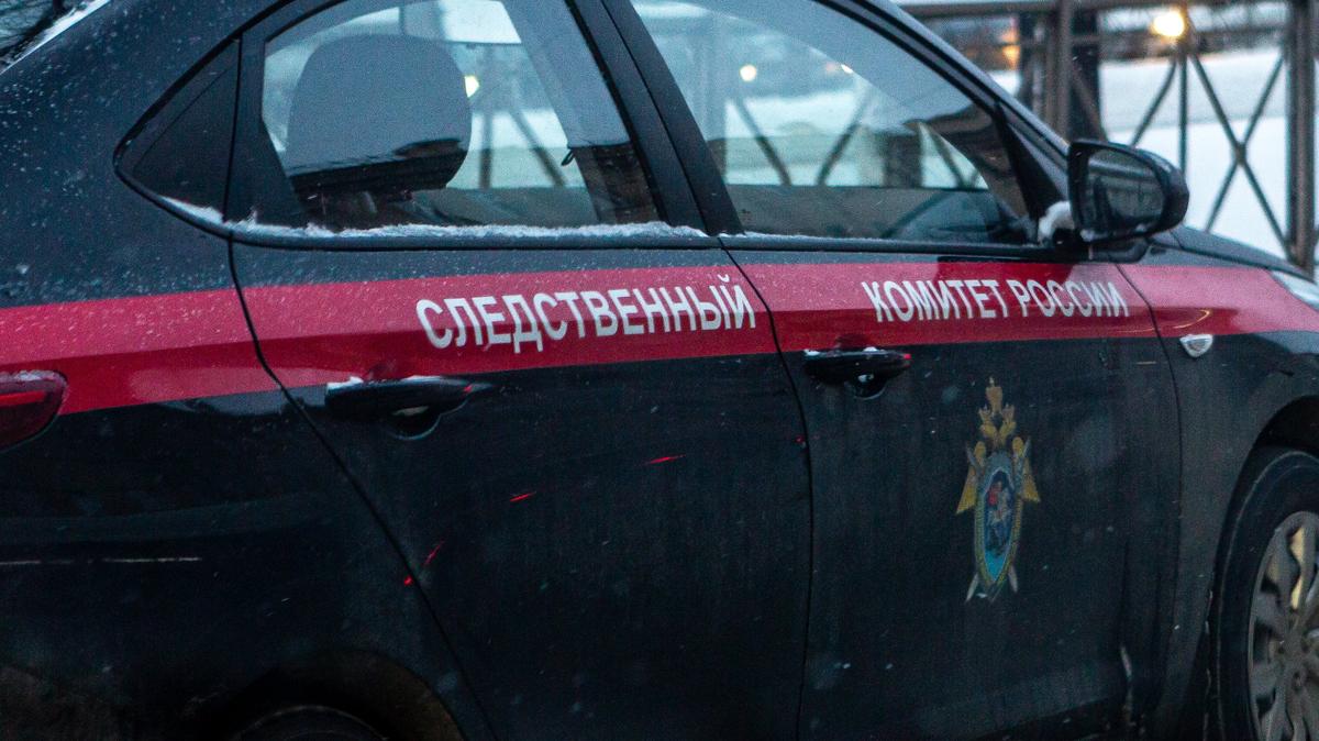 В Кировске девочки избили учительницу начальных классов