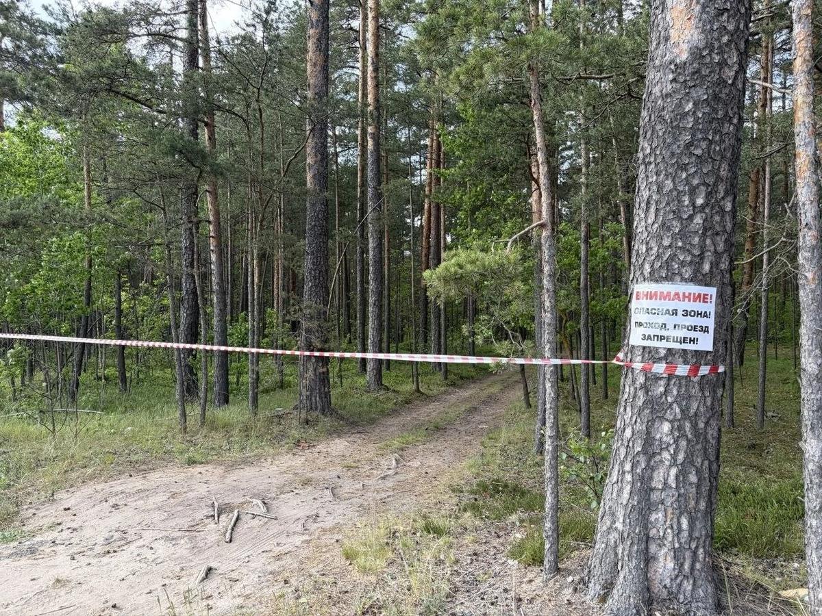 Фото: администрация Ленобласти
