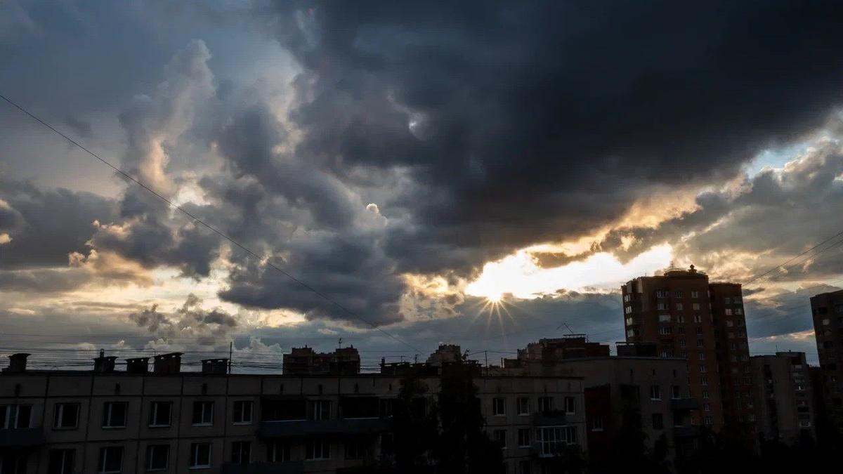 Фото: Олег Золото / МР7