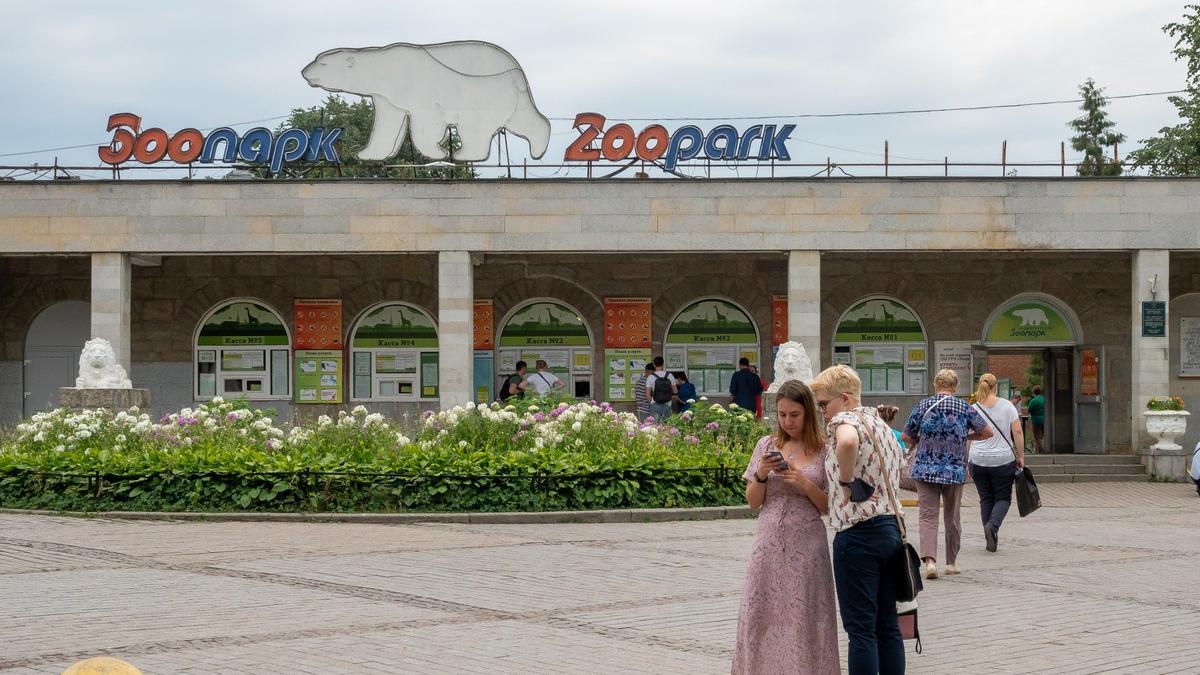 Фото: Олег Золото / MR7