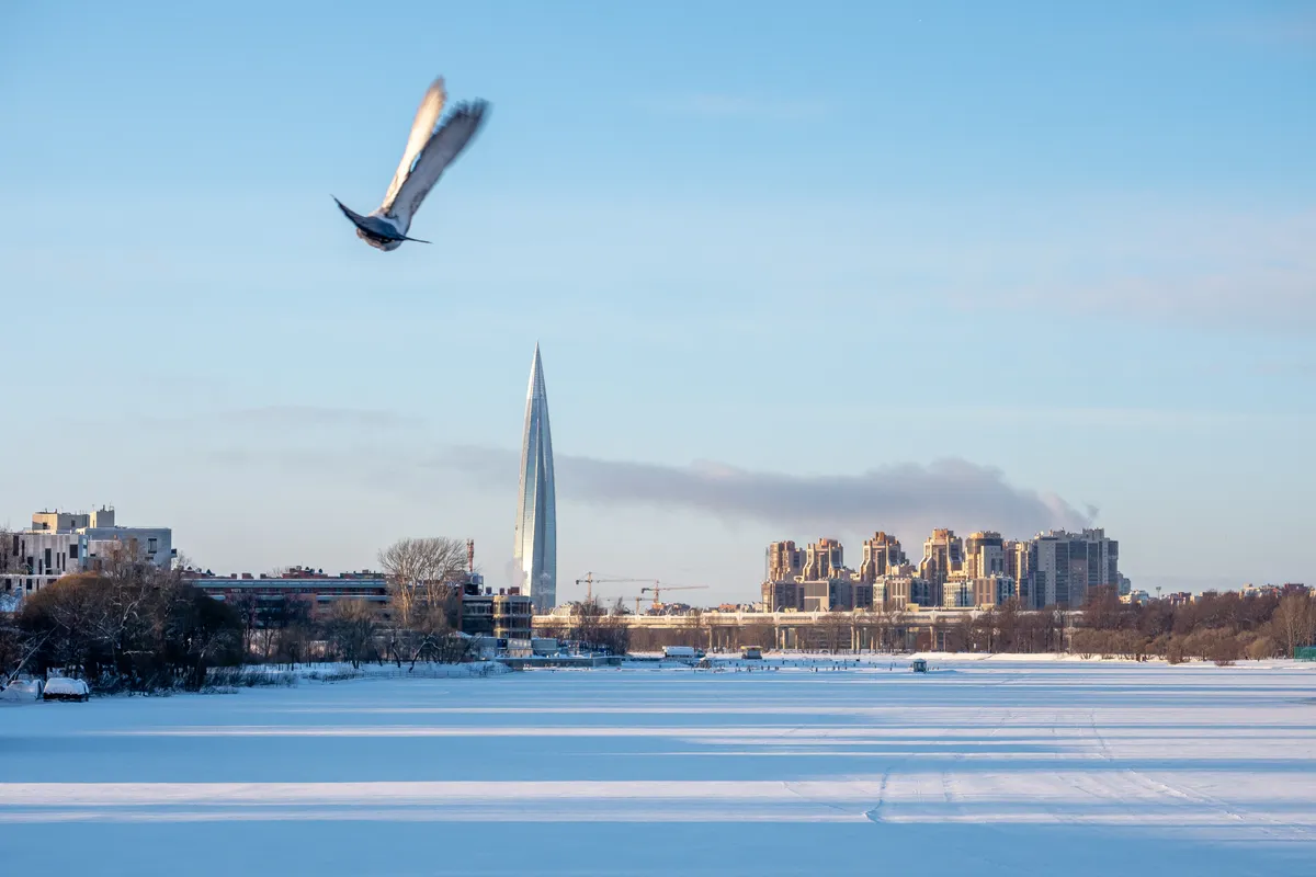 Фото: Олег Золото / MR7