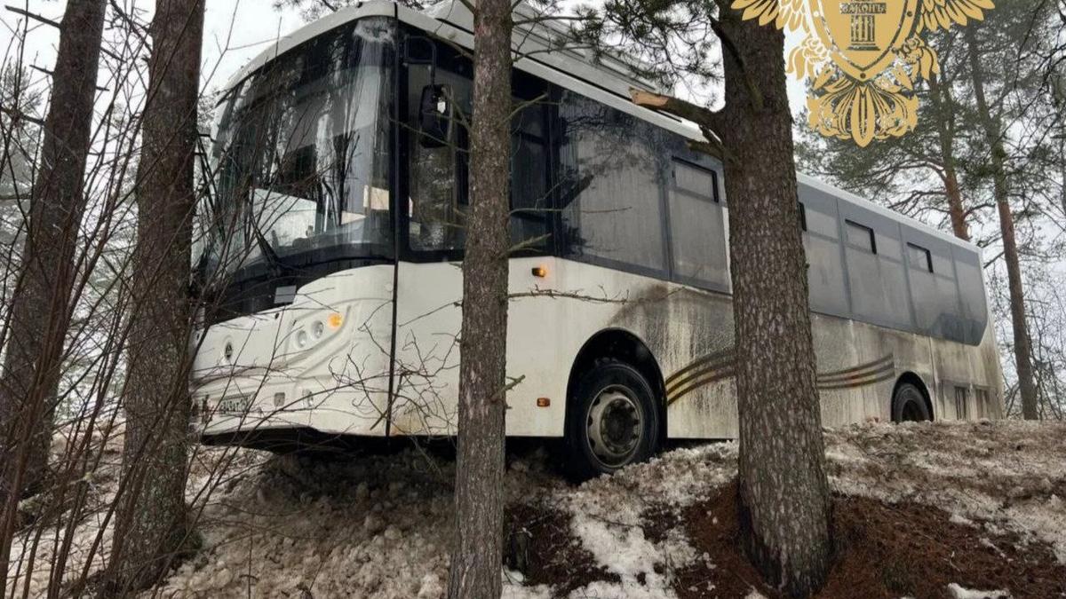 Фото: прокуратура Ленобласти