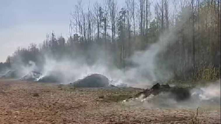 Место рядом с Юнтоловским заказником, где был пожар. Скриншот: видео Юлии Будниковой «ВКонтакте»