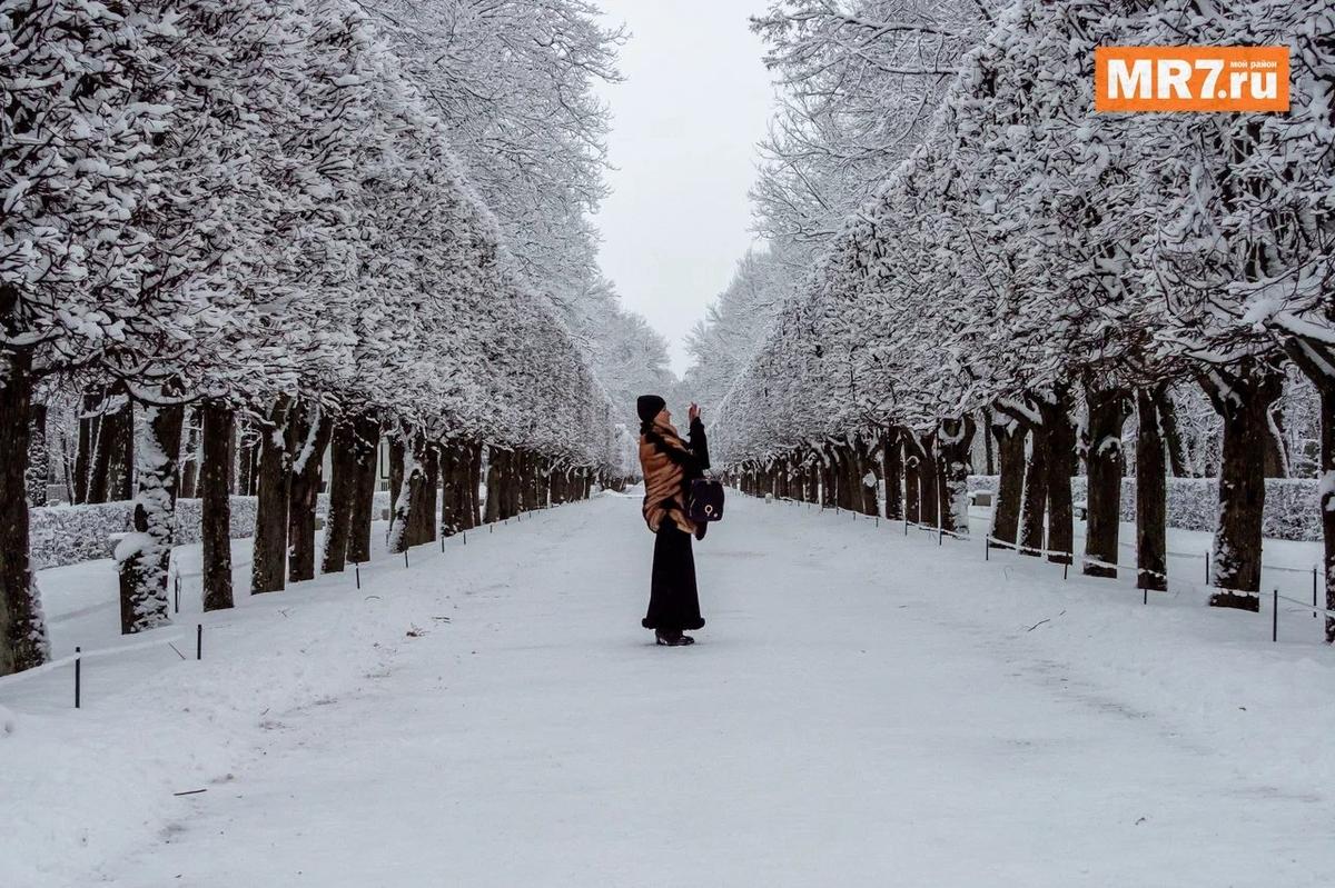 Фото: Олег Золото / MR7