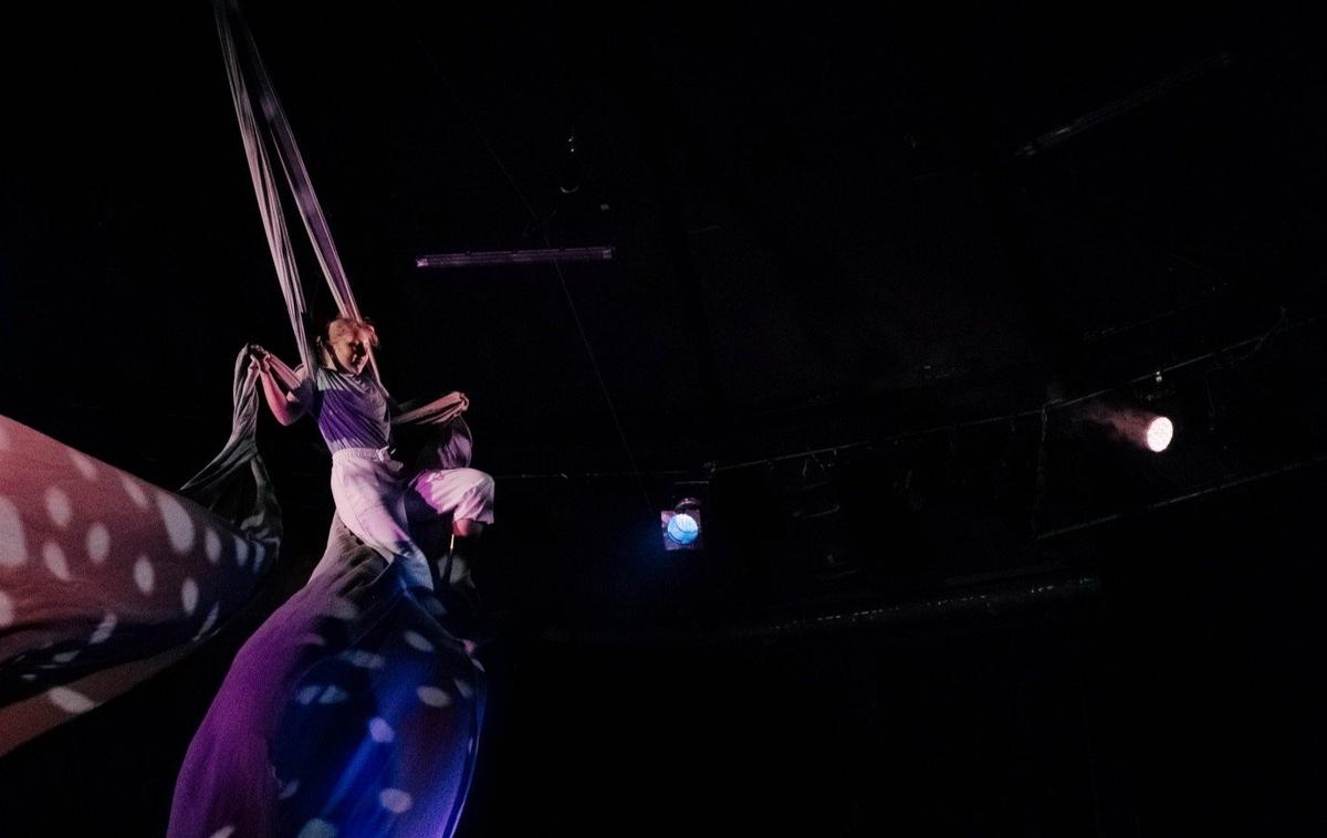 Фото: «Упсала-цирк»