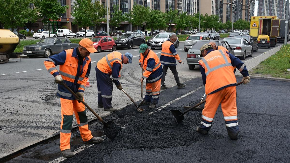 Фото: пресс-служба администрации Красносельского района