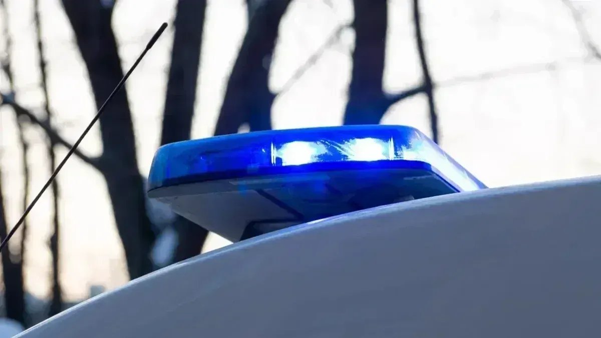 Фото: Дмитрий Абрамов / MR7