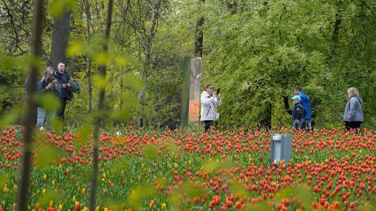 Фото: Павел Борисенко / МР7