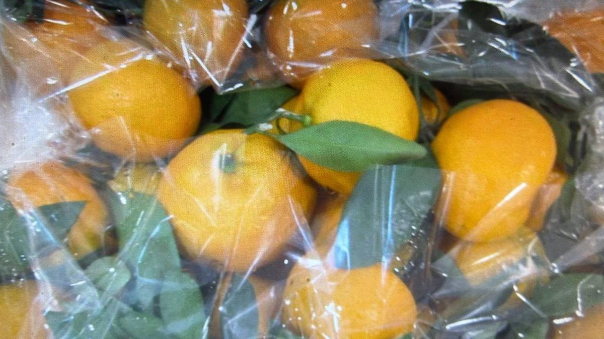 Фото: россельхознадзор