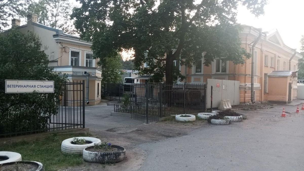 В список зданий с признаками ОКН включили два здания на севере Петербурга, занятые силовыми ведомствами