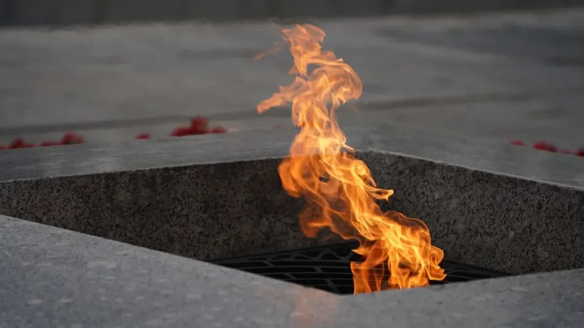 Фото: Павел Борисенко / MR7