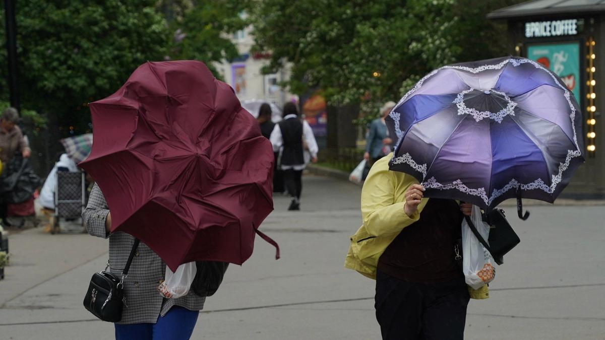 Фото: Павел Борисенко / MR7