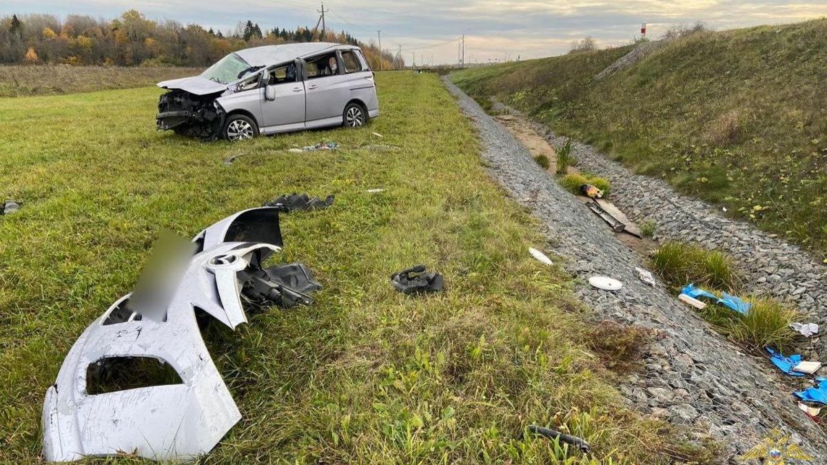 Фото: «Петербургская полиция»