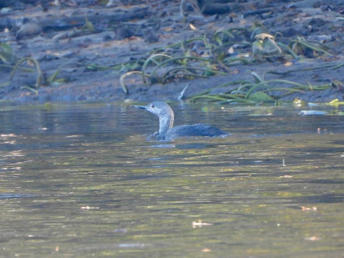 Фото: Вера Рыженкова
