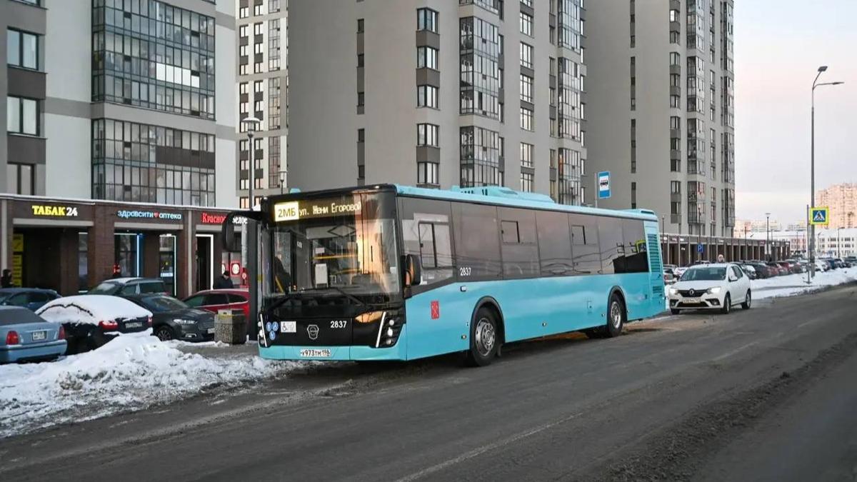 Фото: Кирилл Поляков