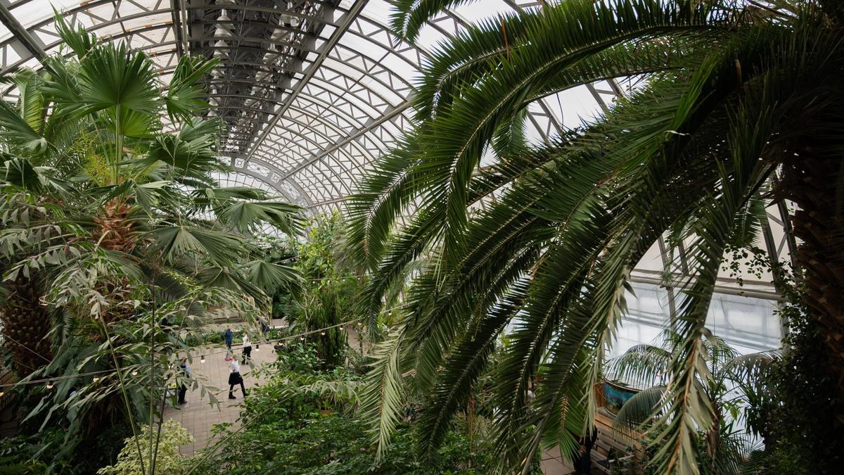 Театр «Небесные бродяги» покажет спектакль в поддержку приюта «Островок» в оранжерее Таврического сада