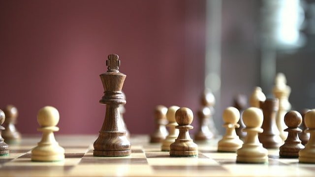 В центре Петербурга появится шахматно-шашечный клуб