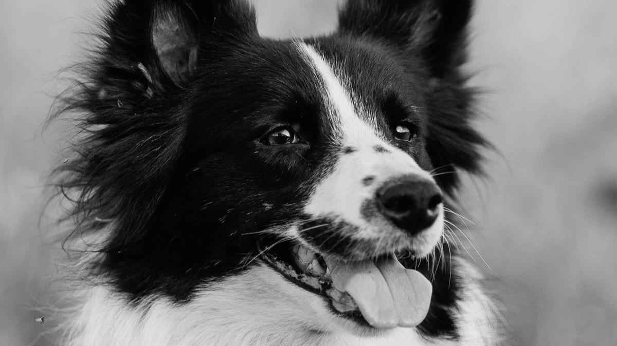 Фото: Юлия Иванова