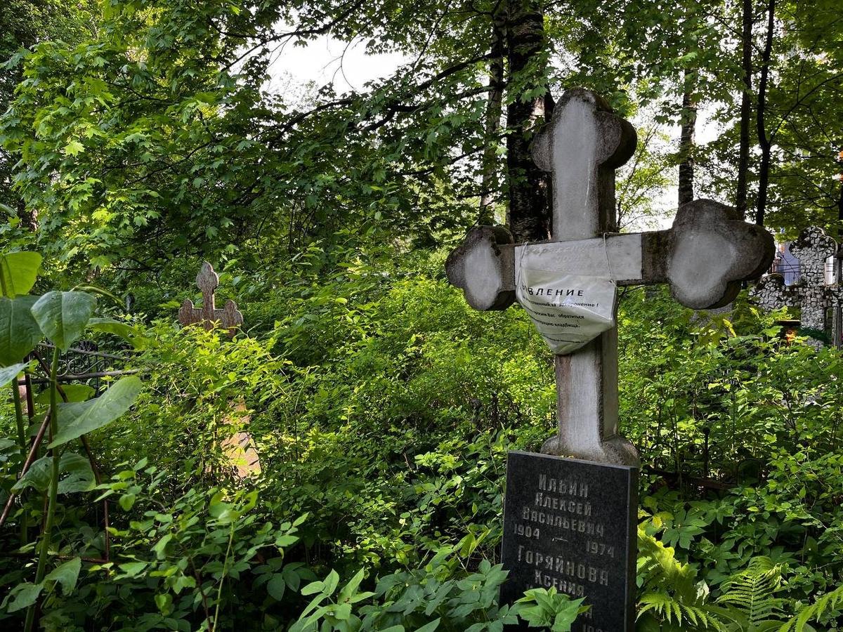 Второй крест с фамилией Араксимович и табличка: Ильин, Горяйнова. Фото: Любовь Смирнова / МР7