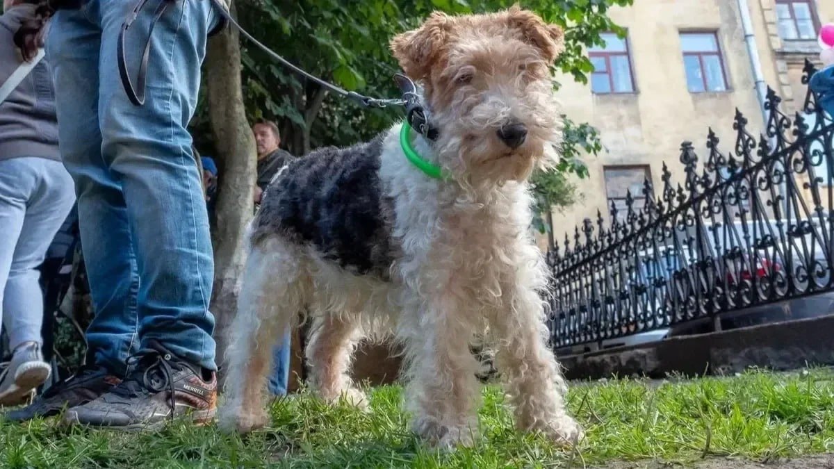 Фото: Олег Золото / MR7