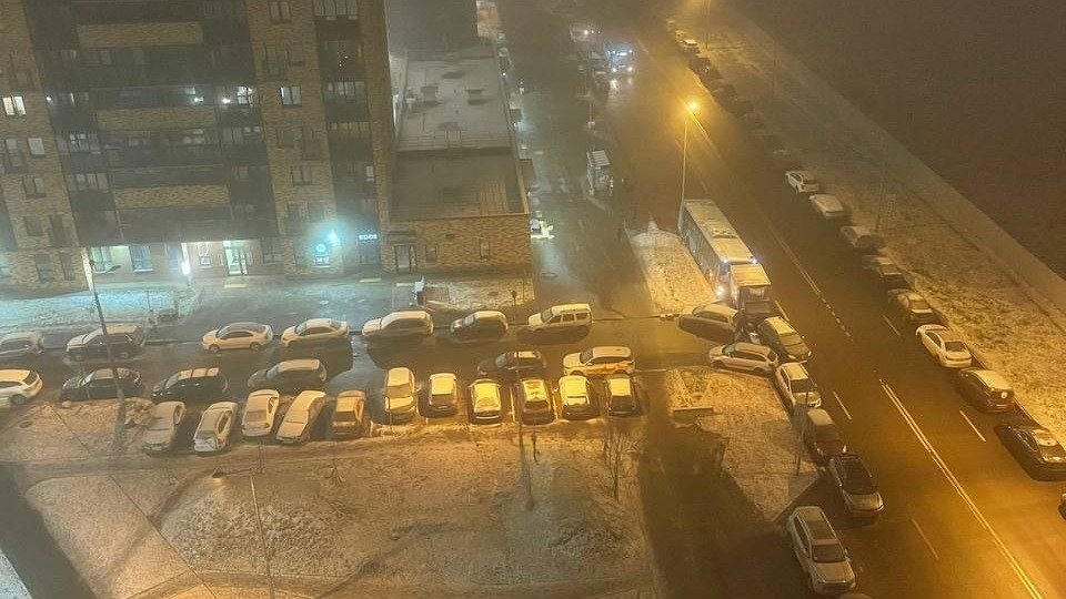 Фото: telegram-канал «Парнас Санкт-Петербург»