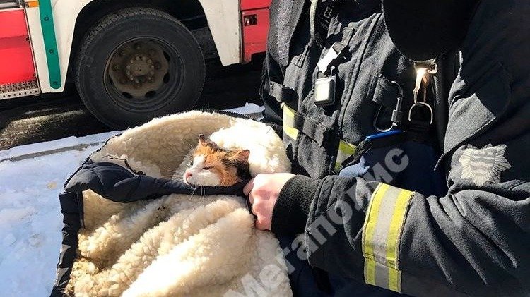 При пожаре в Калининском районе погибла пожилая женщина, спасены мужчина и кошка