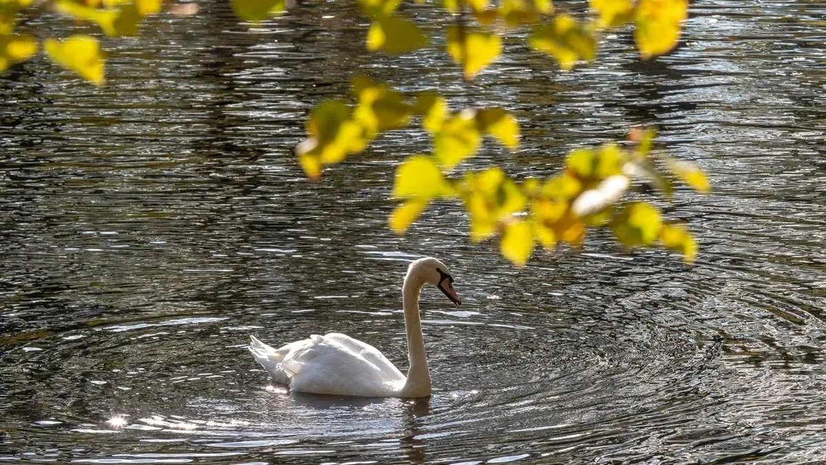 Фото: Олег Золото / MR7