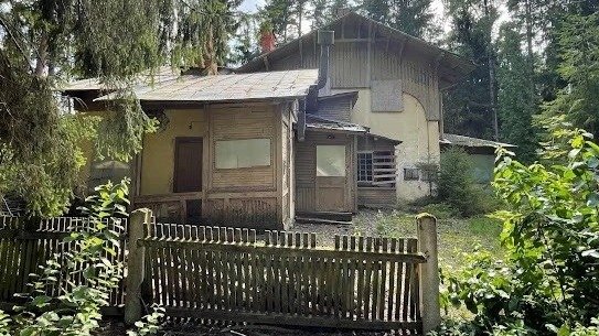 Фото: пресс-служба Смольного