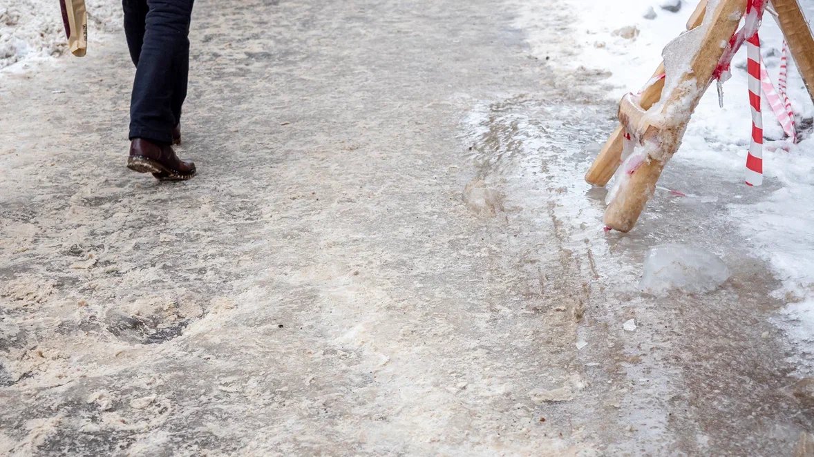 Фото: Олег Золото / MR7