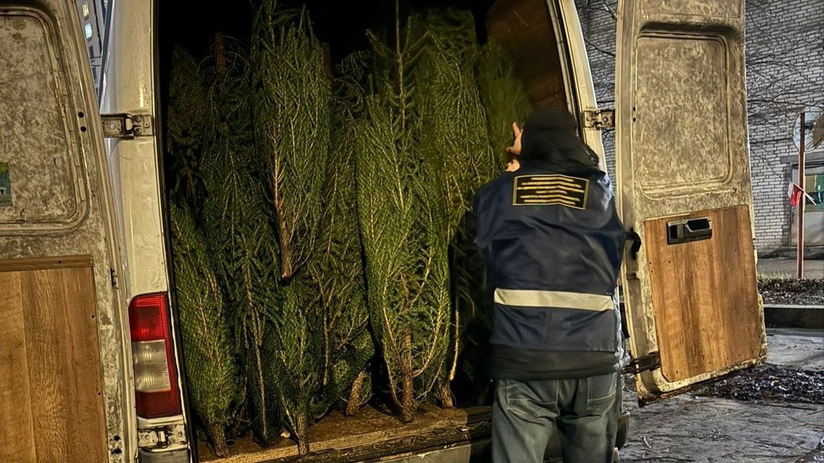 Первый незаконный ёлочный базар в этом году закрыли в Петербурге