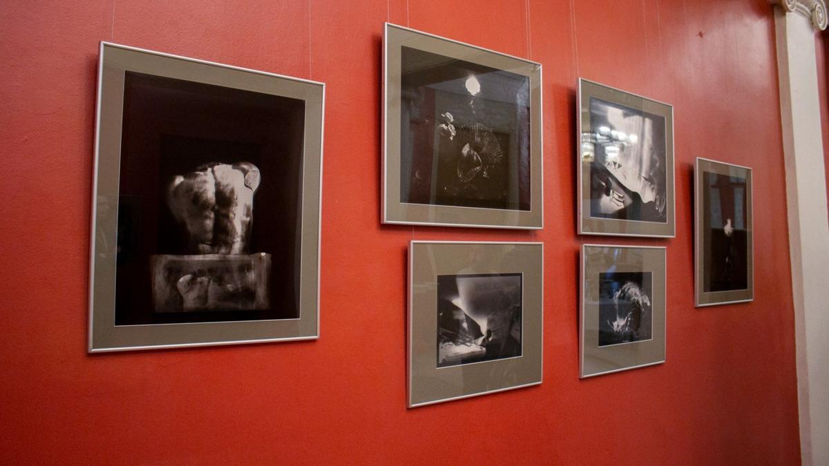 Фото: Елизавета Нечаева / МР7