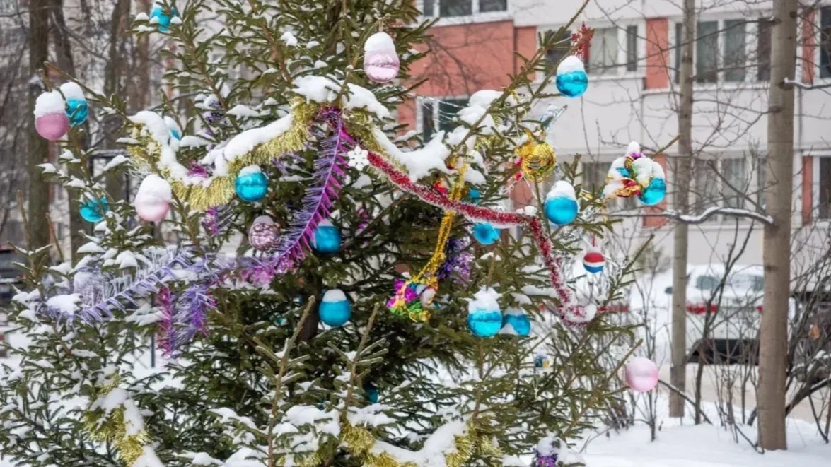 Фото: Олег Золото / MR7