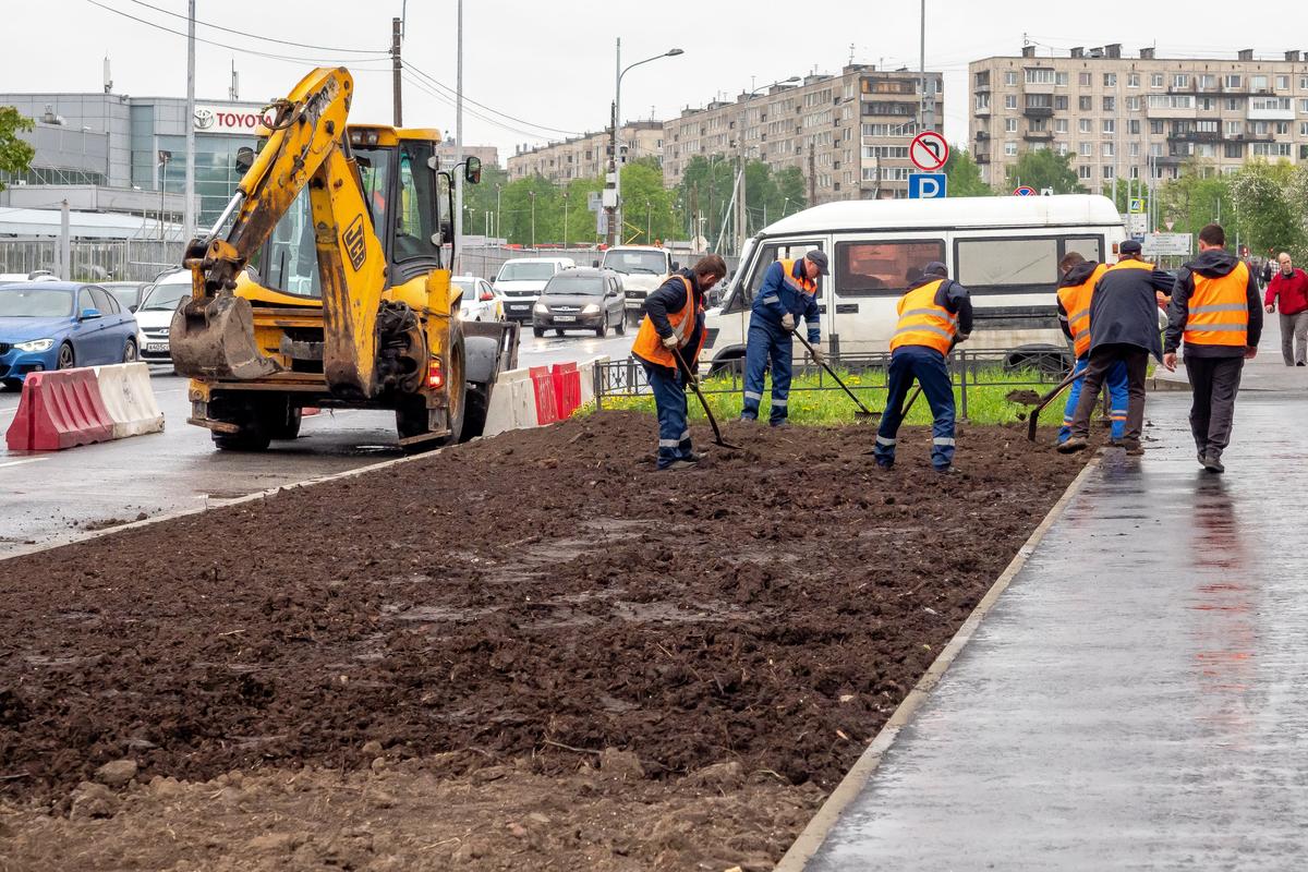 Фото: Олег Золото / MR7