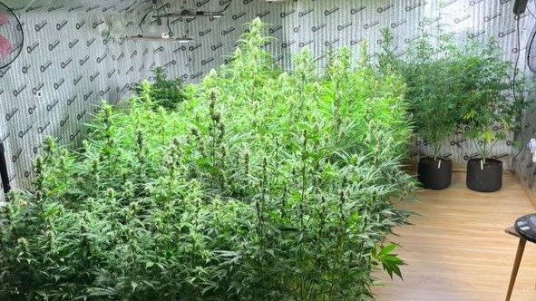 Фото: ГУ МВД по Петербургу