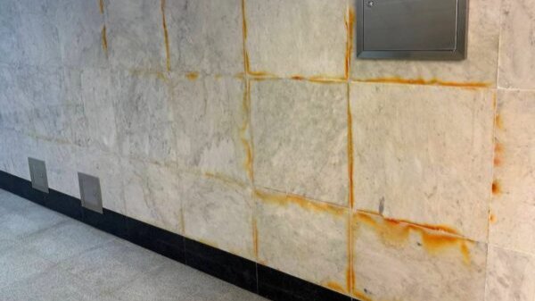 Фото: «Мегаполис»