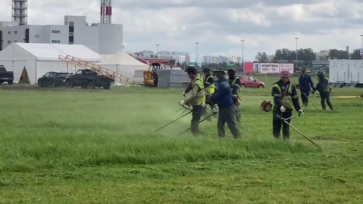 Поле между Мурино и Буграми станет местом для сырного и винного фестивалей