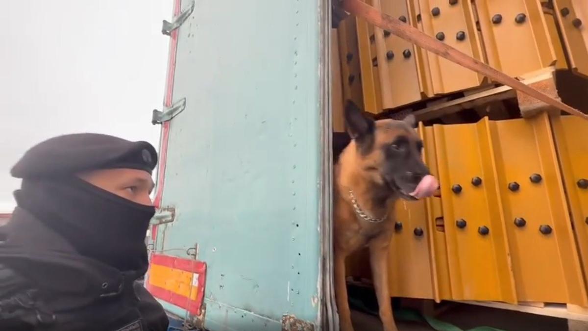 Скриншот видео: ГУ МВД по Петербургу и Ленобласти