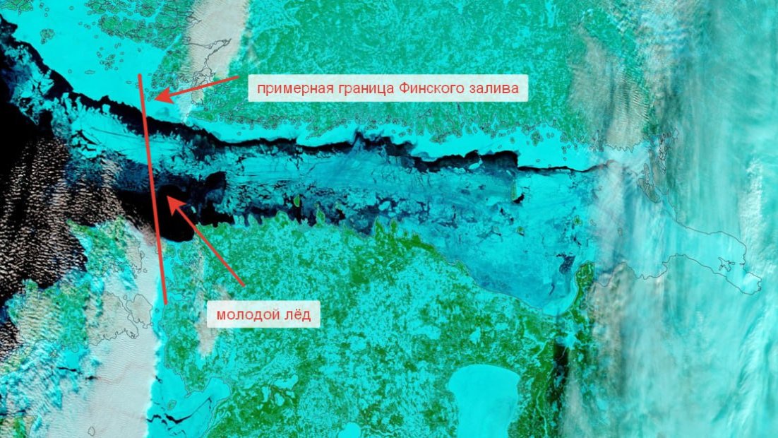 Иллюстрация: Александр Колесов