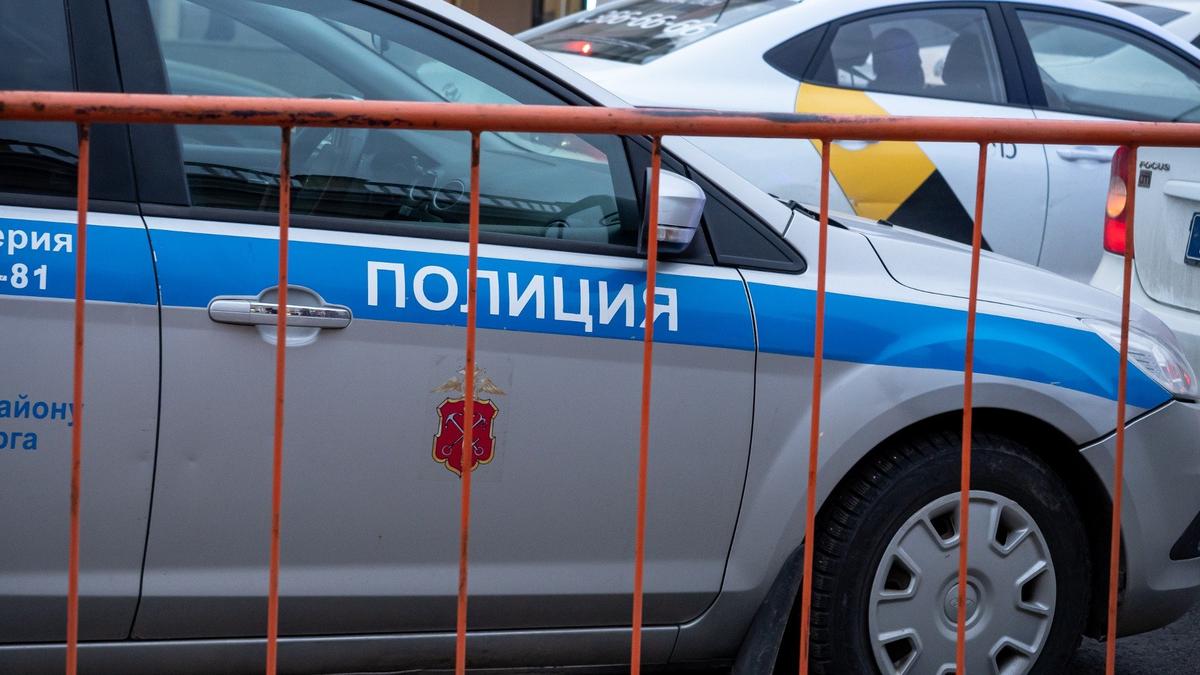 В Кировском районе Петербурга мужчина выстрелил из пневматического оружия в 58-летнюю мать