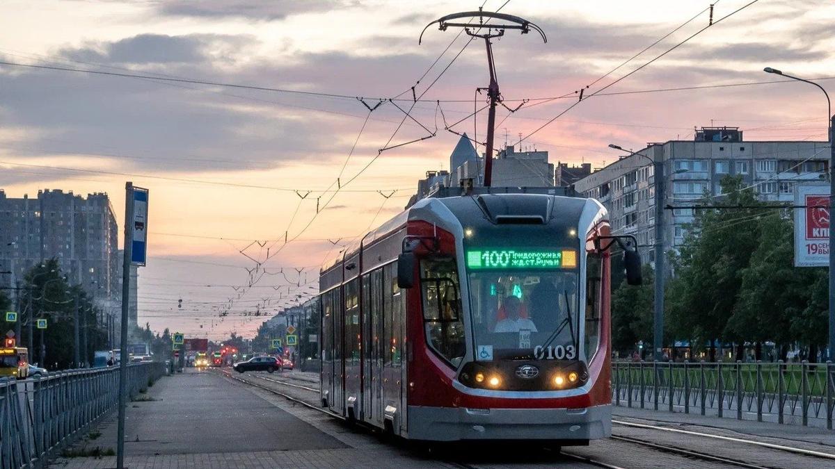 Фото: Олег Золото / МР7