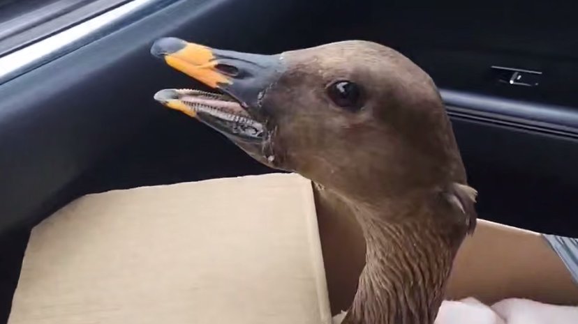 Скриншот видео: «Мегаполис»