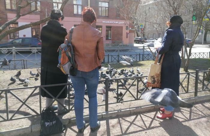 Голуби Мира: петербуржцы вышли 1 мая кормить птиц