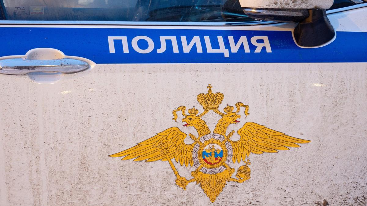 Фото: Дмитрий Абрамов / МР7