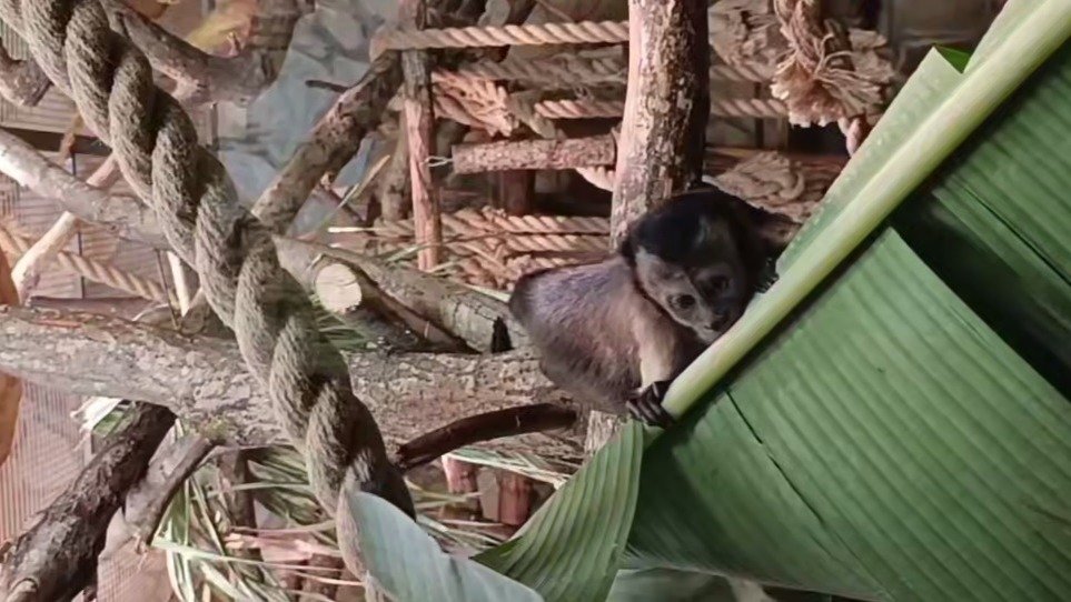 Скриншот видео: Ленинградский зоопарк