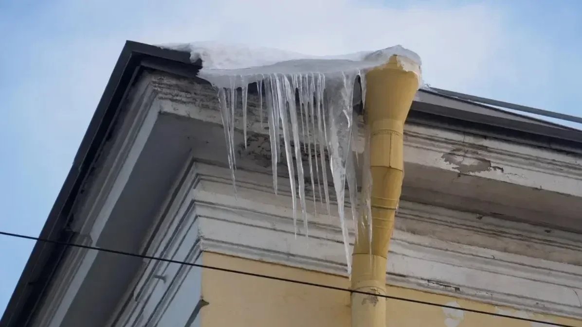 Фото: Дмитрий Абрамов / MR7