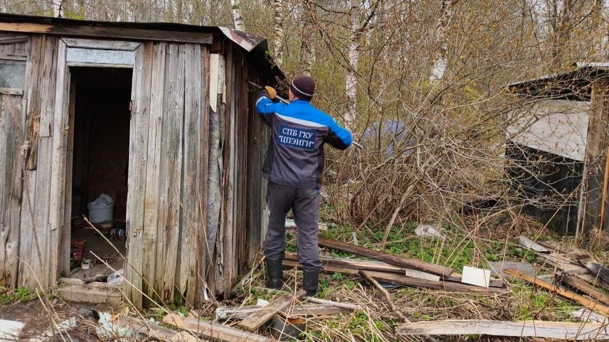 Фото: комитет по контролю за имуществом
