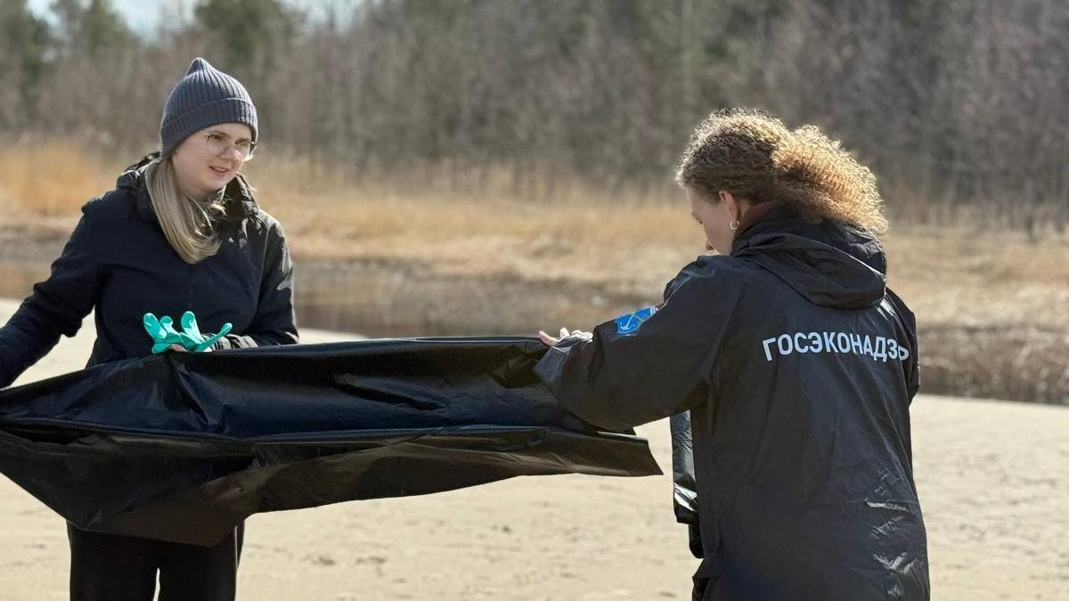 Фото: Эконадзор Ленобласти