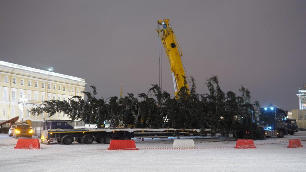 Фото: Дмитрий Абрамов / MR7