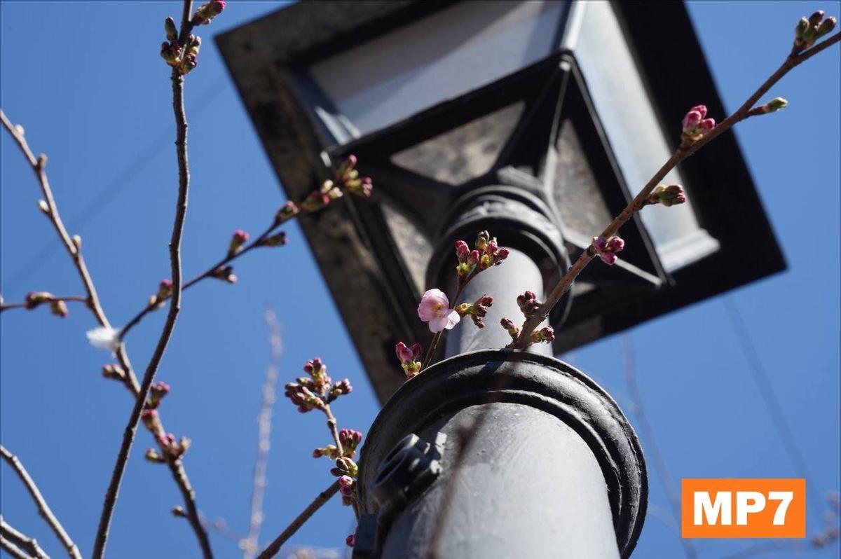 Фото: Павел Борисенко / MР7